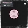 Shiralee Coleman - Can You Feel It (DJ Fuel Remix) - Single